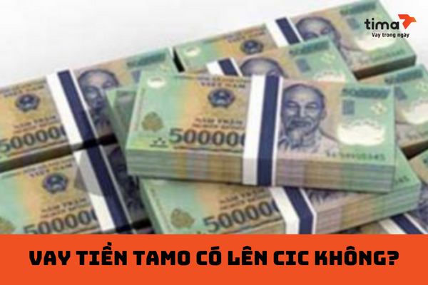 vay chi phí tamo với lên cic không