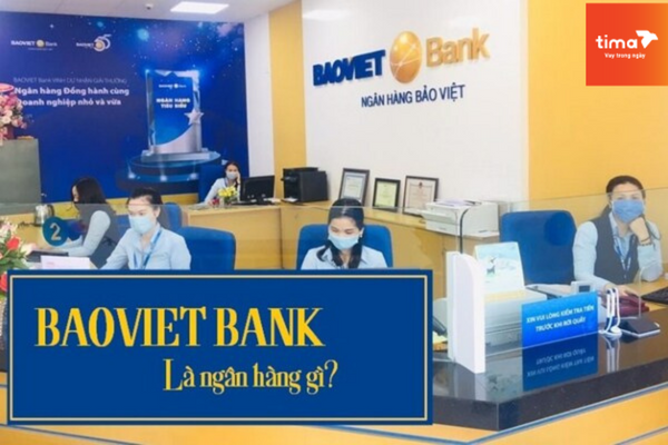 Ngân hàng Bảo Việt Bank là ngân hàng trẻ nhất trong hệ thống tín dụng Việt Nam
