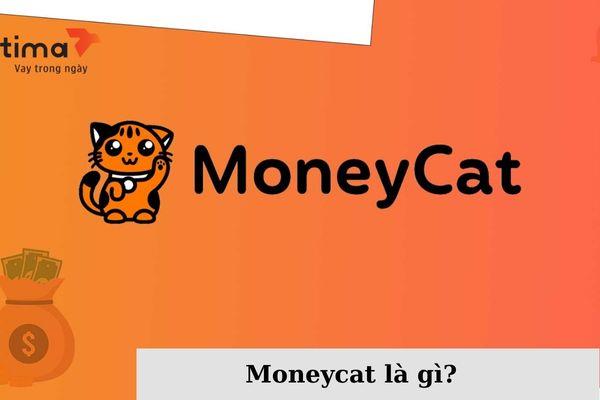 Moneycat là gì?