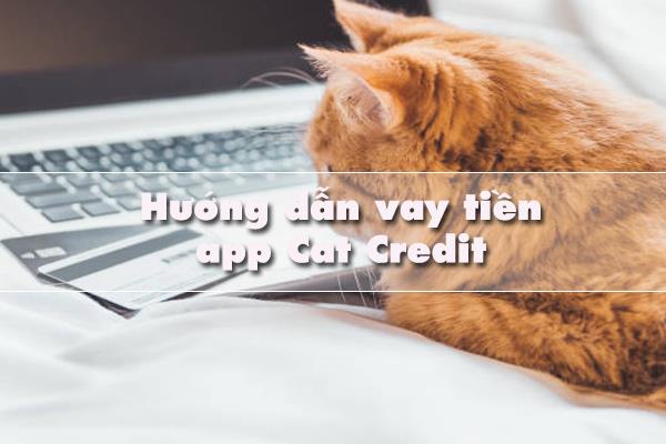 Vay tiền Catcredit cần thực hiện theo đúng quy trình