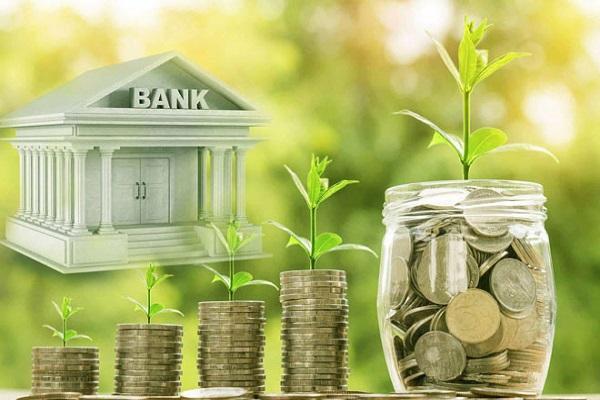 Không cần số vốn khổng lồ, quan trọng là biết quản lý và tối ưu chi phí