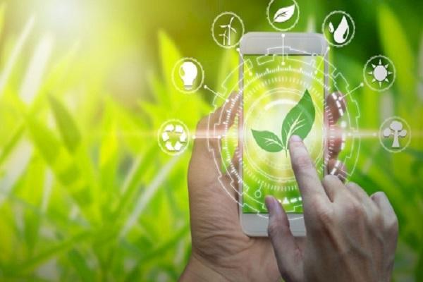 Năng lượng xanh không chỉ là xu hướng mà còn là khoản đầu tư dài hạn 