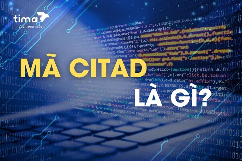 Mã CITAD là gì? Vai trò của Mã CITAD trong các giao dịch